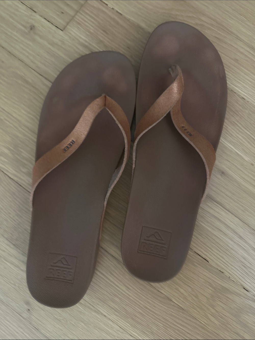 Reef Brown Metallic-Trim Flip Flops